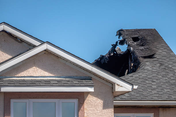 Licensed Content Restoration service in Saint Michael, MN - Fire Damage Biloxi
